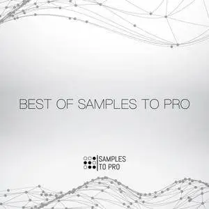 Samples To Pro Best of Samples to Pro WAV