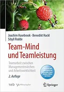 Team-Mind und Teamleistung: Teamarbeit zwischen Managementmärchen und Arbeitswirklichkeit, 2. Aufl.
