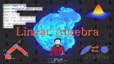College Level Advanced Linear Algebra! Theory & Programming!