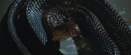 Enter.the.Dragon.1973.BDRip.720p