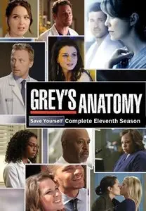 Grey's Anatomy Season 11