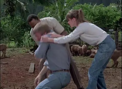 Magnum P.I. S04E08