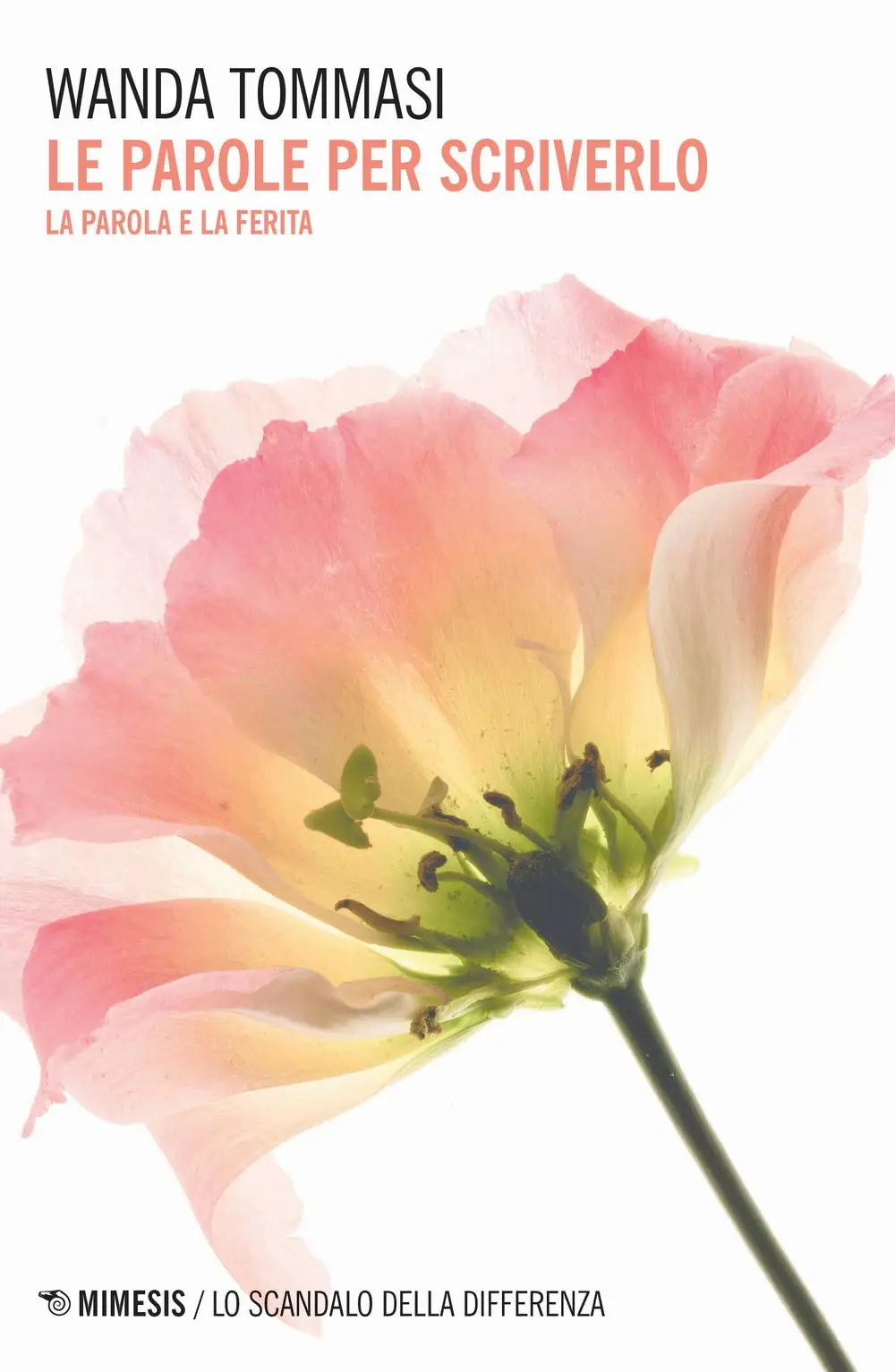 Wanda Tommasi - Le parole per scriverlo
