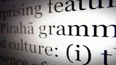 Smithsonian Channel - The Grammar of Happiness (2012)