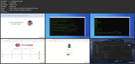 Java Ee With Vaadin, Jpa, Microservices, Spring And Maven