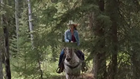 Heartland S12E07