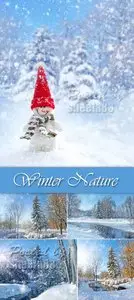 Stock Photo - Winter Nature
