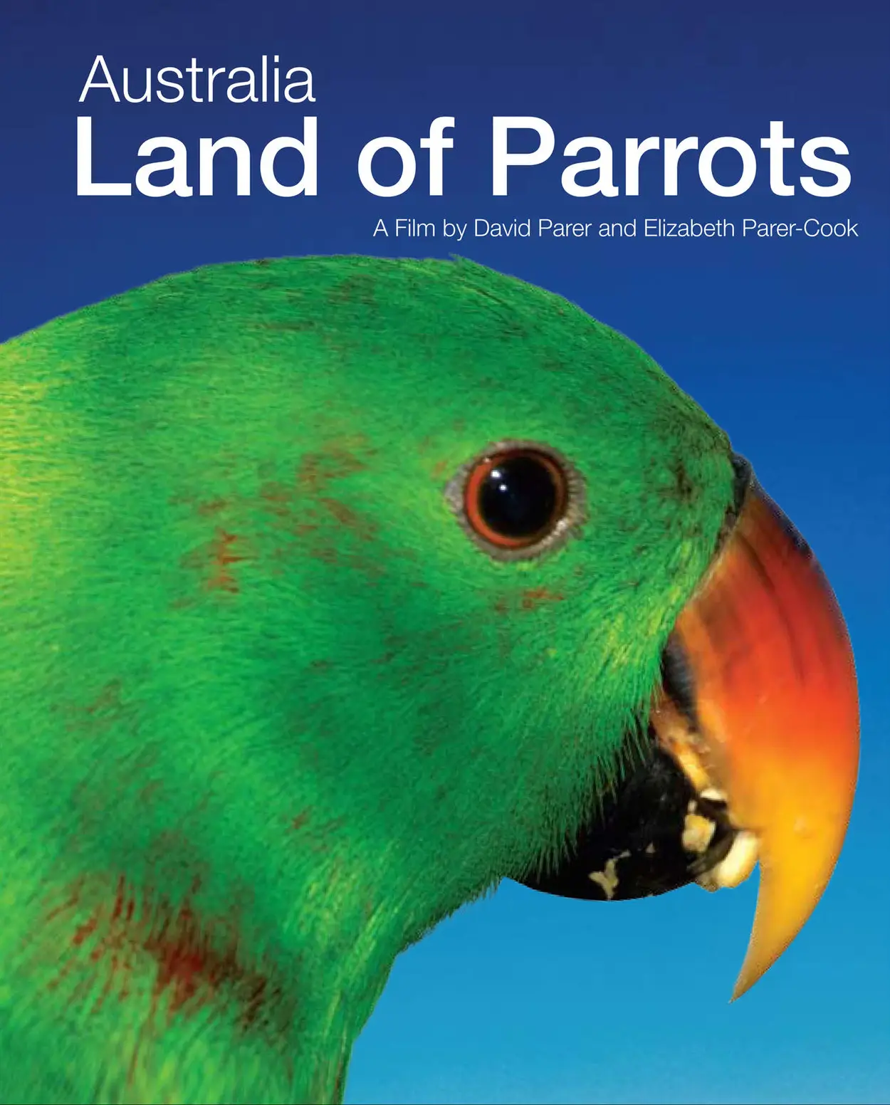 Australia: Land of Parrots / AvaxHome