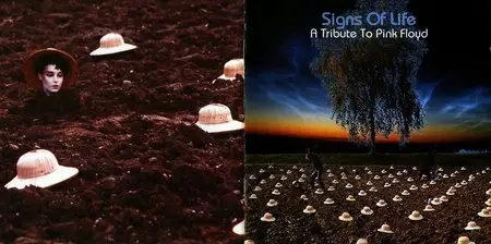 VA - A Tribute To Pink Floyd: Signs Of Life (2000) [lossless]