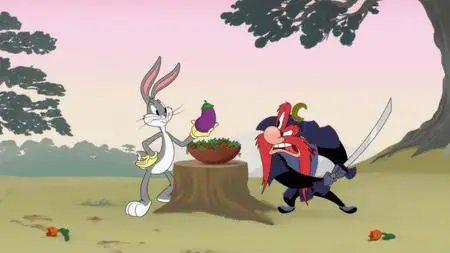 Looney Tunes Cartoons S05E13