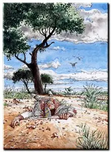 Hermann - Caatinga - One Shot