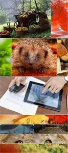 Simple Slide Show - 10 After Effects Project - Pond5