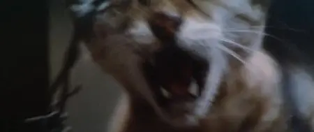 Don't Play with Fire (1980) AKA Dangerous Encounter - 1st Kind [Director's Cut]