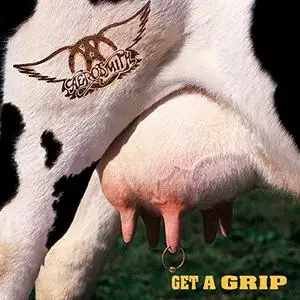 Aerosmith - Get A Grip (1993/2014) [Official Digital Download 24/192]