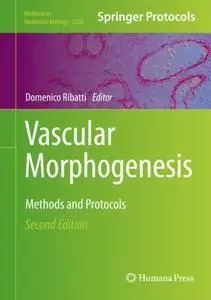 Vascular Morphogenesis: Methods and Protocols