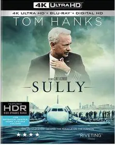 Sully (2016)