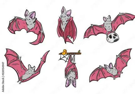 Vampire Bat Illustrations 530154947