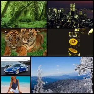 Collection wallpapers №83