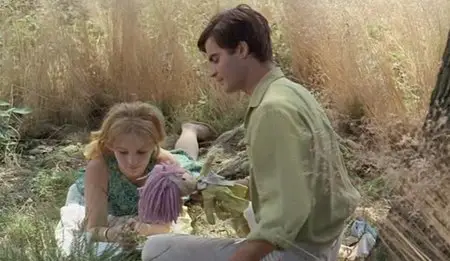 Le bonheur / Happiness (1965)