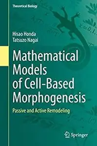 Mathematical Models of Cell-Based Morphogenesis