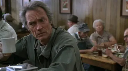 The Bridges of Madison County (1995) [Re-UP]
