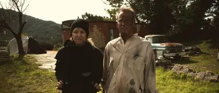 Through the Ashes (2019)