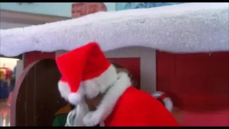 Santa with Muscles (1996)