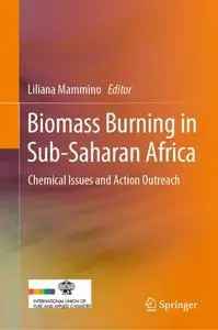Biomass Burning in Sub-Saharan Africa: Chemical Issues and Action Outreach