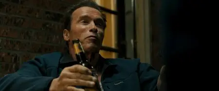 The Last Stand (2013)