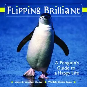 «Flipping Brilliant» by Jonathan Chester