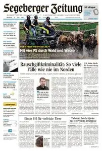 Segeberger Zeitung - 02. Juli 2019