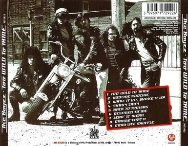 The Boyzz - Too Wild To Tame (1978) [2001 Reissue]