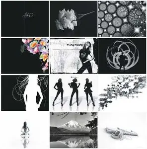 Black and White Wallpapers #1