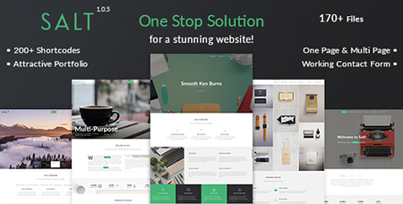 ThemeForest - Salt v1.0.5 - Multi-purpose HTML5 Template - 16422281