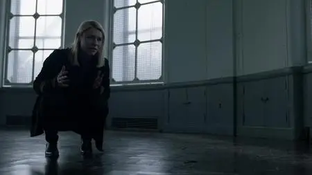 Homeland S06E06