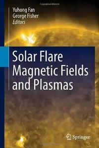 Solar Flare Magnetic Fields and Plasmas (Repost)