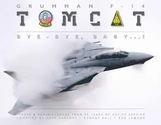 Grumman F-14 Tomcat: Bye - Bye Baby...! (repost)