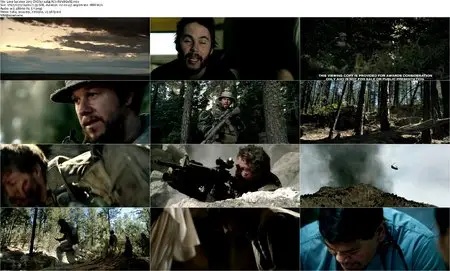Lone Survivor (2013)