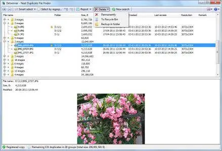 Detwinner 2.03.006 Multilingual + Portable