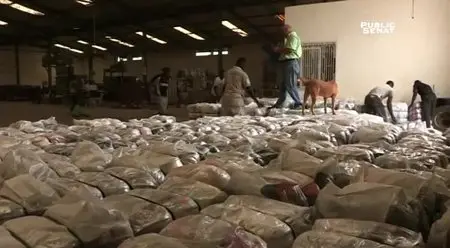 (LCP) Les dessous de la mondialisation - Sénégal, la fripe mondialisée (2015)
