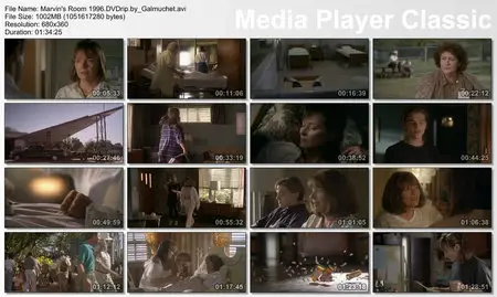 Marvin's Room [Simples Secrets] 1996