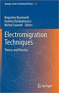 Electromigration Techniques: Theory and Practice