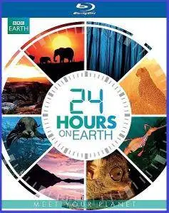 BBC - 24 Hours on Earth: Series 1 (2014)