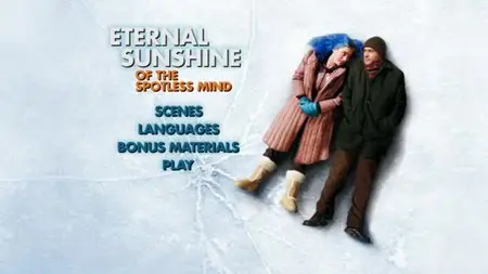 Eternal Sunshine of the Spotless Mind (2004)