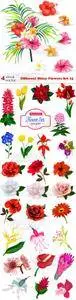 Vectors - Different Shiny Flowers Set 15