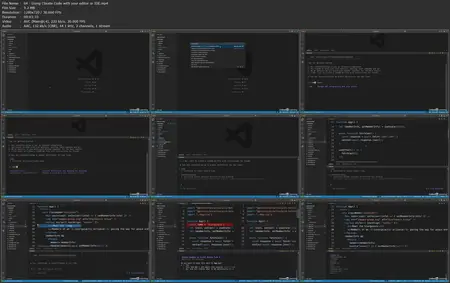 Claude Code 4: Agentic Coding for Professional Developers