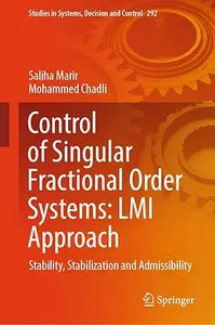 Control of Singular Fractional Order Systems