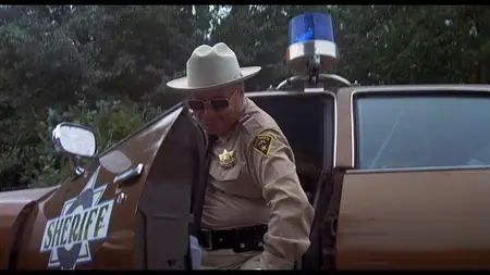 Smokey and the Bandit (1977)