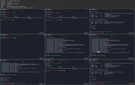 Penetration Testing mit Metasploit
