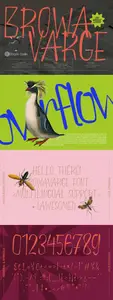 Browavarge - Expressive Hand-Drawn Display Font CHDNJFD
